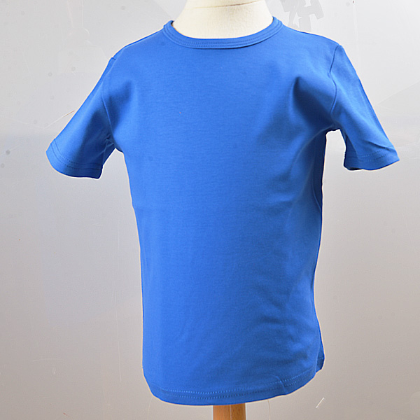 Virginia Blue color Boy T shirt